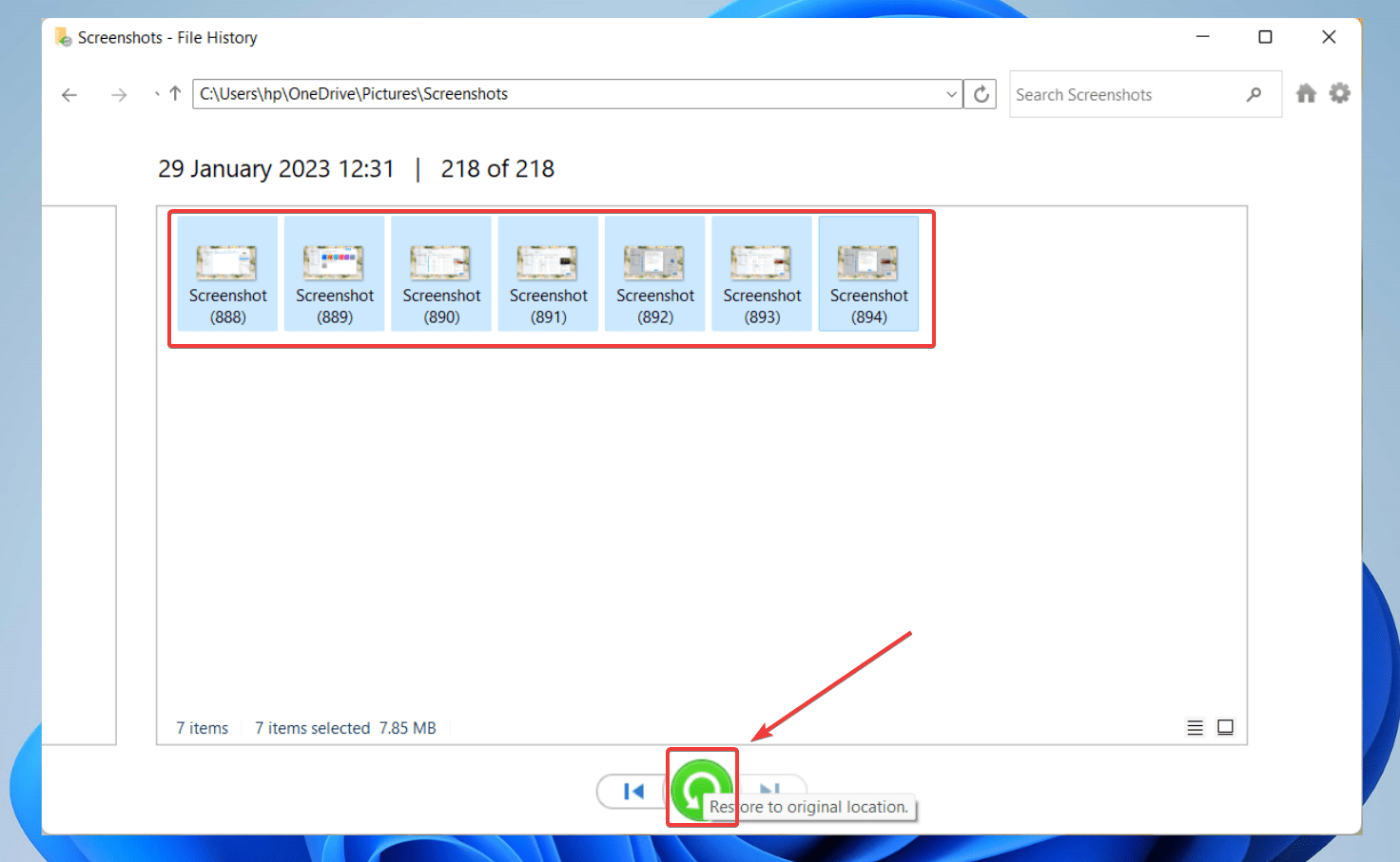 selecting files for recovery from file history